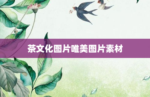 茶文化图片唯美图片素材