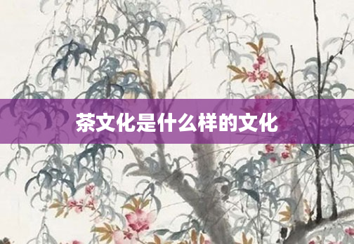 茶文化是什么样的文化