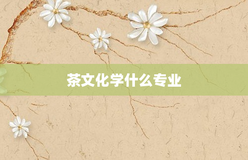 茶文化学什么专业