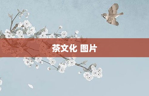 茶文化 图片