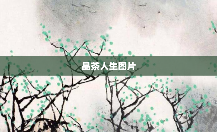 品茶人生图片