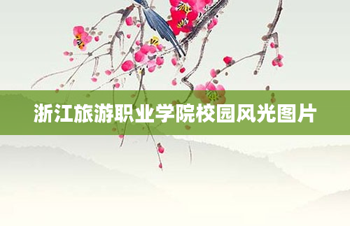 浙江旅游职业学院校园风光图片