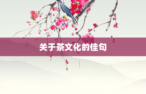 关于茶文化的佳句