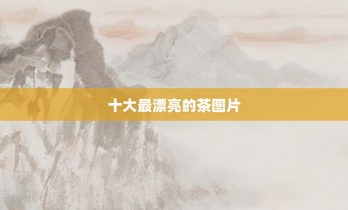 十大最漂亮的茶图片
