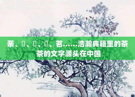 荼、槚、荈、蔎、茗……浩瀚典籍里的茶 茶的文字源头在中国