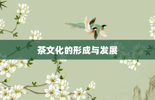 茶文化的形成与发展