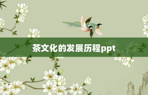茶文化的发展历程ppt