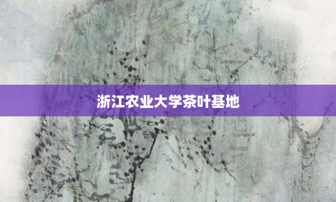浙江农业大学茶叶基地