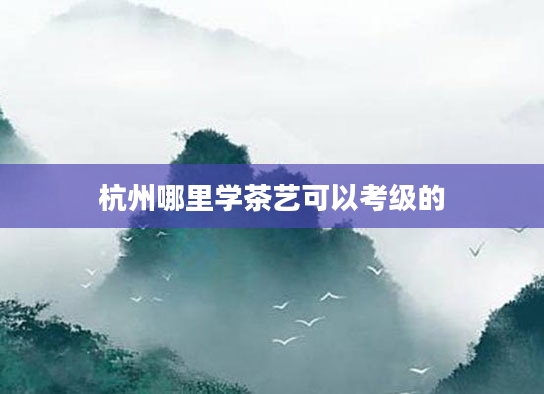 杭州哪里学茶艺可以考级的