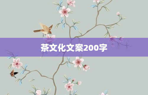 茶文化文案200字