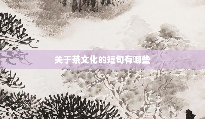 关于茶文化的短句有哪些