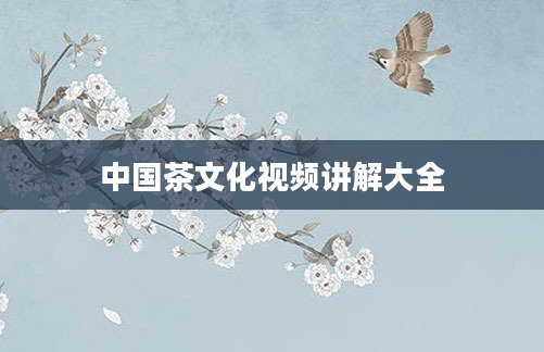 中国茶文化视频讲解大全