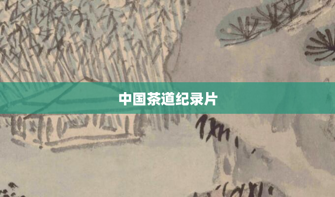 中国茶道纪录片