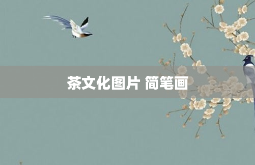 茶文化图片 简笔画