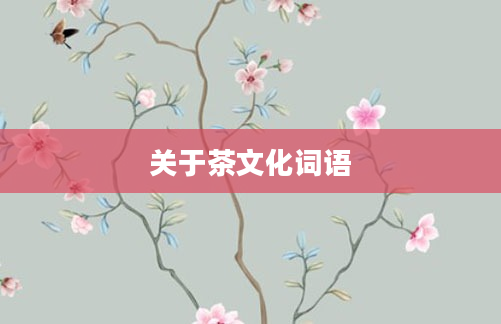 关于茶文化词语
