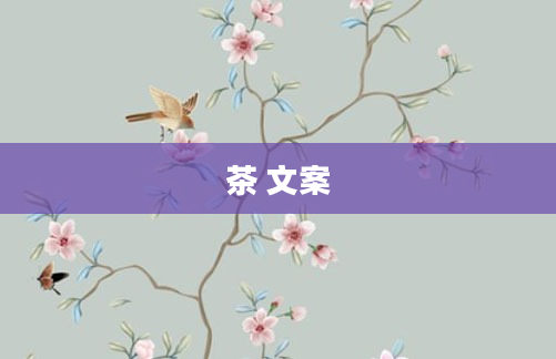 茶 文案