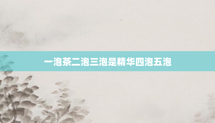一泡茶二泡三泡是精华四泡五泡