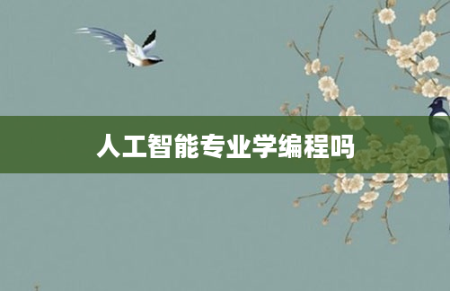 人工智能专业学编程吗