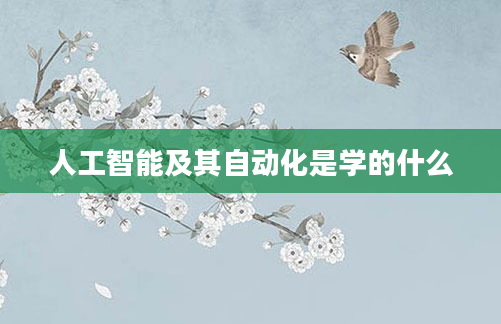 人工智能及其自动化是学的什么