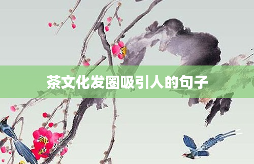 茶文化发圈吸引人的句子