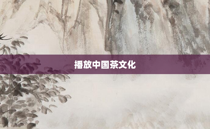 播放中国茶文化