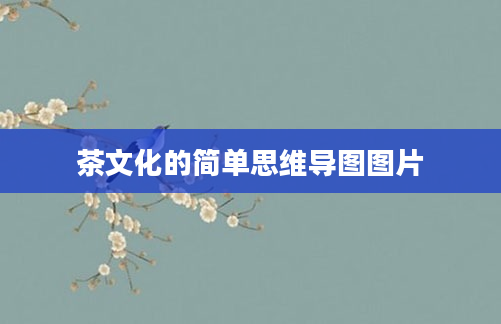 茶文化的简单思维导图图片