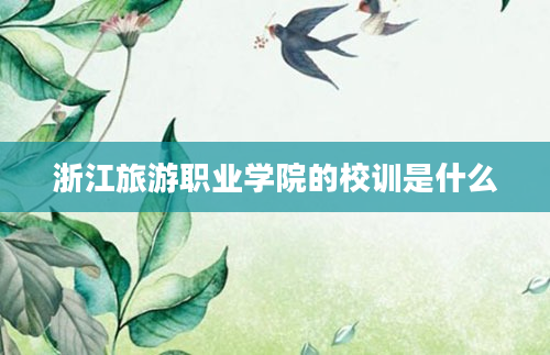 浙江旅游职业学院的校训是什么