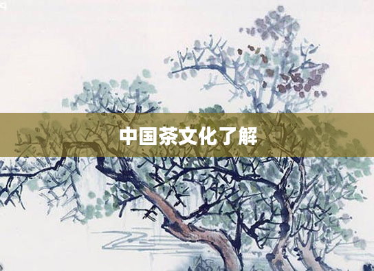 中国茶文化了解