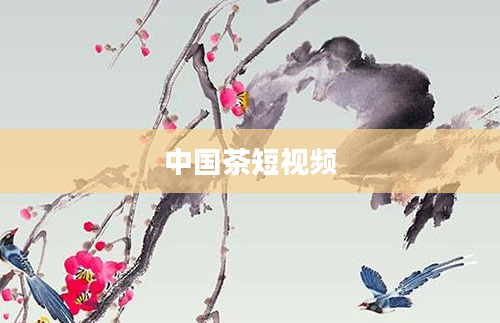 中国茶短视频