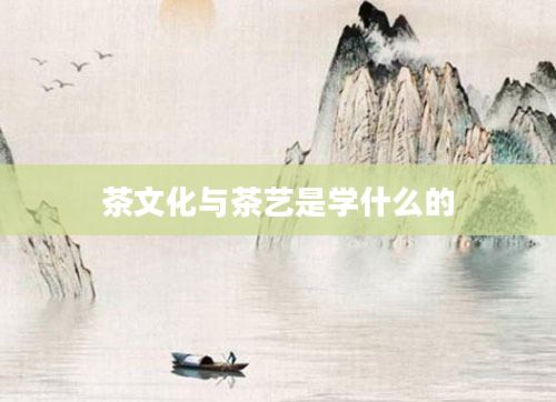 茶文化与茶艺是学什么的