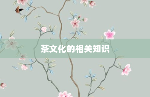 茶文化的相关知识