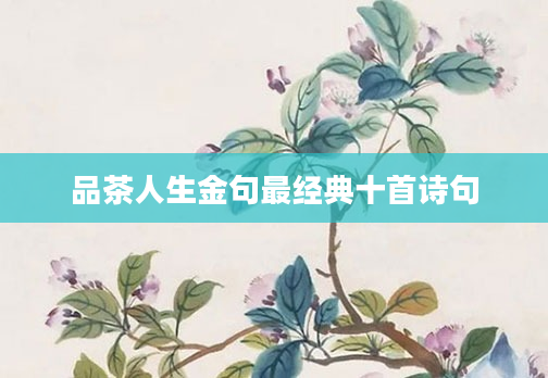 品茶人生金句最经典十首诗句