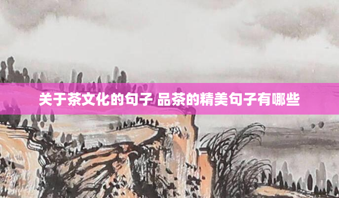 关于茶文化的句子 品茶的精美句子有哪些