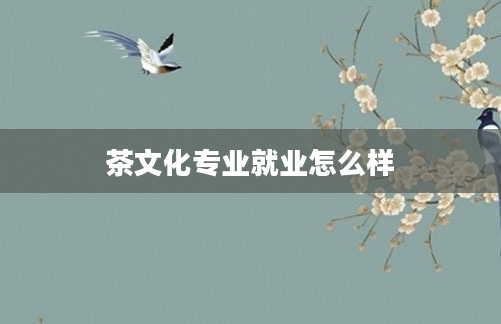 茶文化专业就业怎么样
