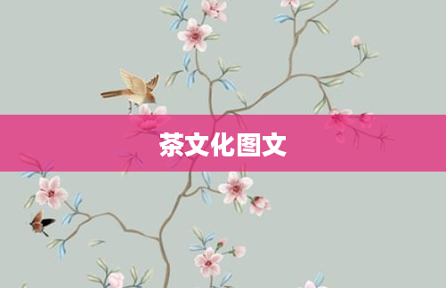 茶文化图文