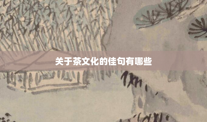 关于茶文化的佳句有哪些