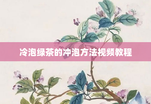 冷泡绿茶的冲泡方法视频教程