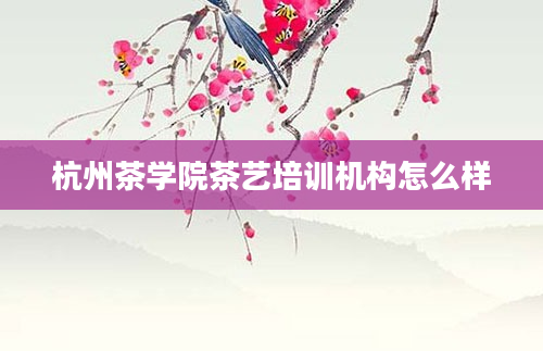 杭州茶学院茶艺培训机构怎么样