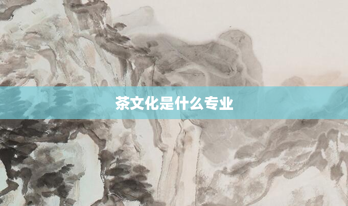 茶文化是什么专业