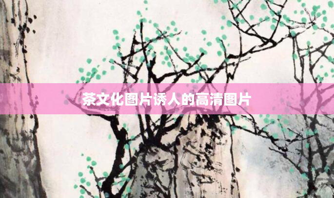 茶文化图片诱人的高清图片