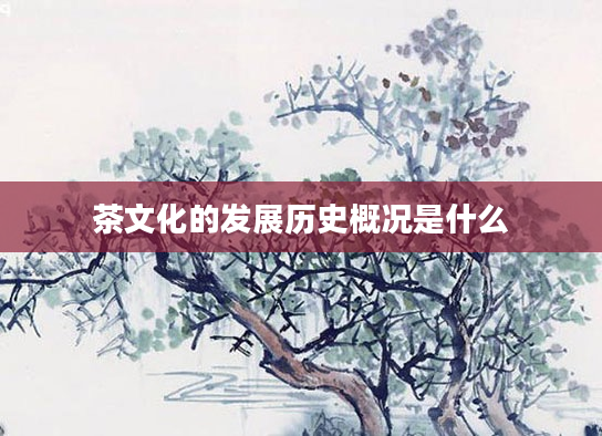 茶文化的发展历史概况是什么