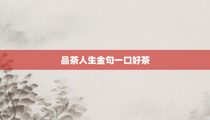 品茶人生金句一口好茶