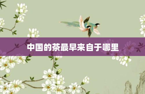 中国的茶最早来自于哪里