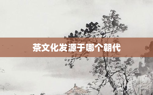 茶文化发源于哪个朝代