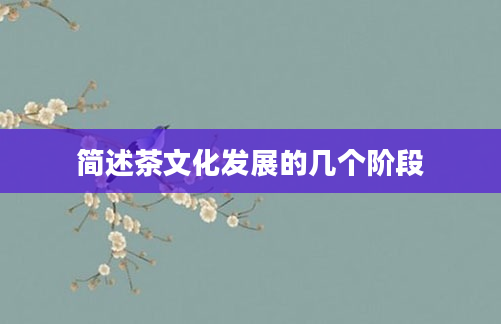 简述茶文化发展的几个阶段