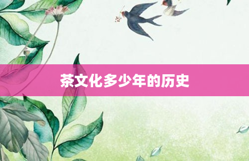 茶文化多少年的历史