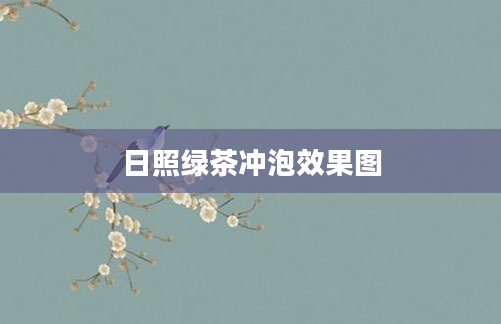 日照绿茶冲泡效果图