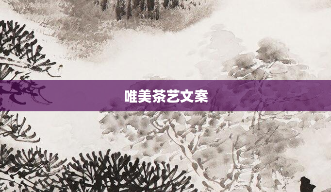 唯美茶艺文案