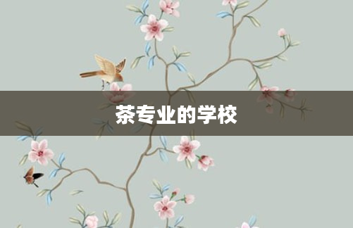 茶专业的学校