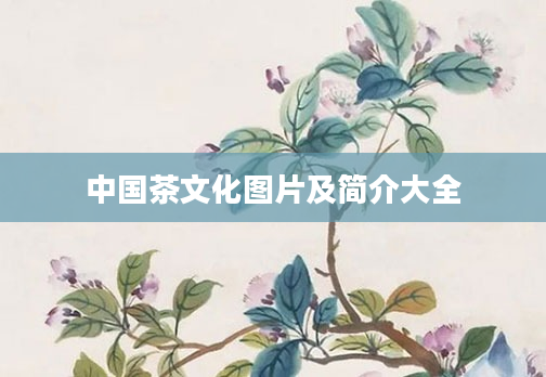 中国茶文化图片及简介大全